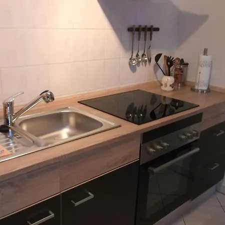 Treinies Comfortable Holiday Holiday home Reinhardtsdorf-Schona